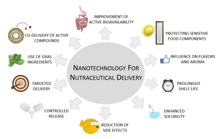 Figure 8: Different nanocarriers used in drug delivery systems. (A) Polymeric nanoparticles; (B) nanostructured lipid carriers; (C) solid lipid nanoparticles; (D) metallic nanoparticles; (E) liposomes; (F) nanohydrogels; (G) dendrimers; (H) cyclodextrin; and liquid crystalline system (I) lamellar; (J) hexagonal; (K) cubic. Copyright 2016, MDPI and ACS Style.