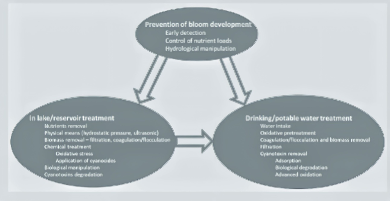 Figure 1: Schematic presentation of strategies and techniques implemented to the development of cyanoHAB and to mitigate potential impacts on aquatic ecosystem and potable water [26].