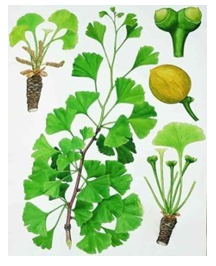 Figure 15