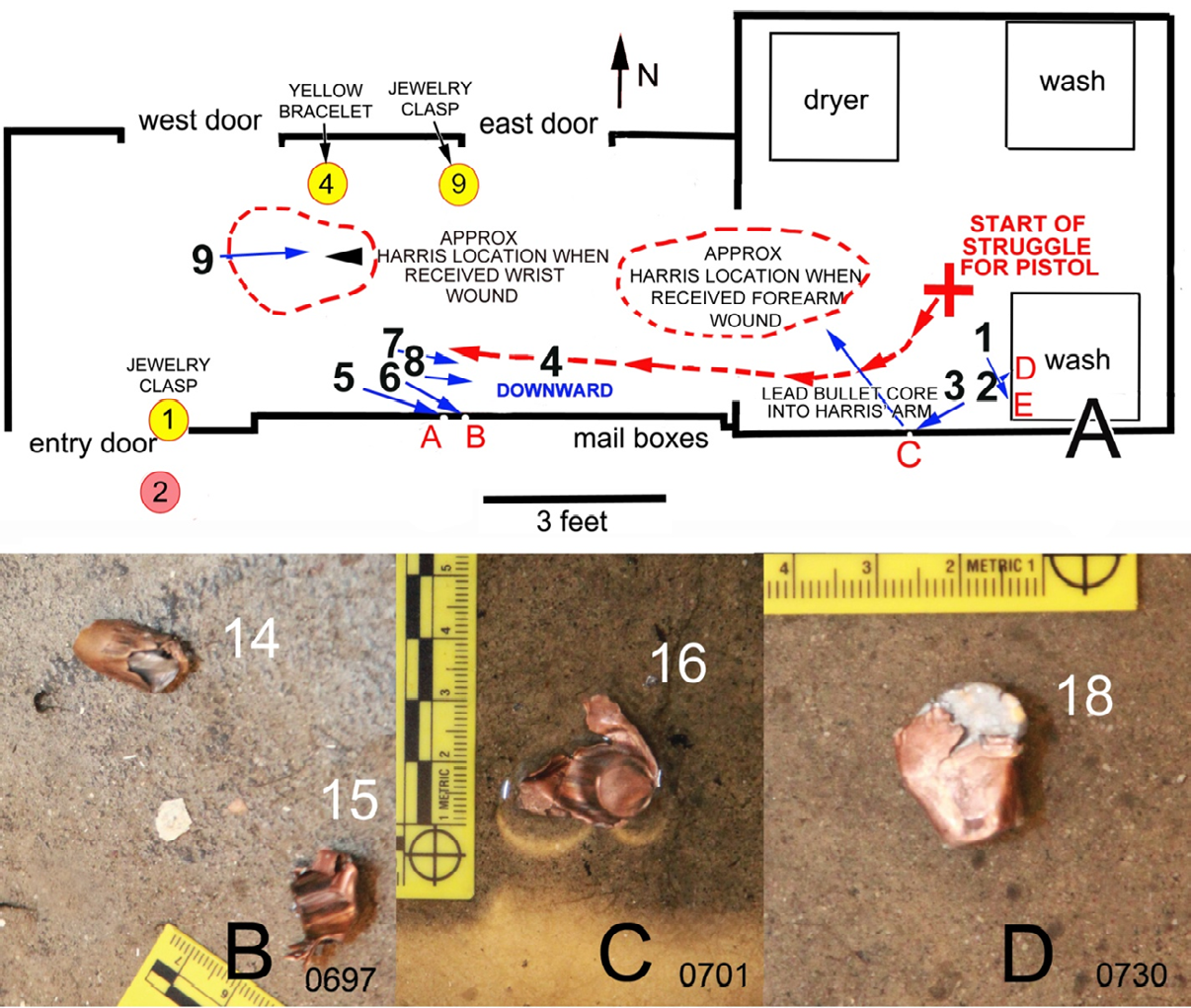Figure 17: A. Reconstruction of the shooting; red arrow dash line traces the route of the assailant and victim took during the struggle for the pistol. The black numbers represent the discharge sequence number of the 9 shots. The blue arrows show the direction of the bullets for each discharge. Shot 4 was downward. The proposed positions of Harris at each of his two wounds on his left arm are shown. B. Bullet fragment 14 and partial jacket 15. C. Bullet jacket 16. D. Partial bullet 18 (described as a jacket ionly, but lead can be seen associated with the jacket).