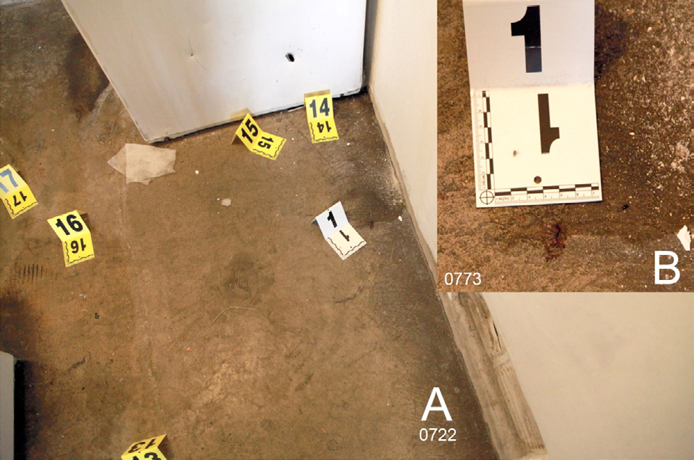 Figure 5: A. The floor and south wall of the laundry room showing bloodstain 1; DNA analysis showed it to be from the victim. B. An enlargement of the stain; the evidence marker was repositioned for the image.