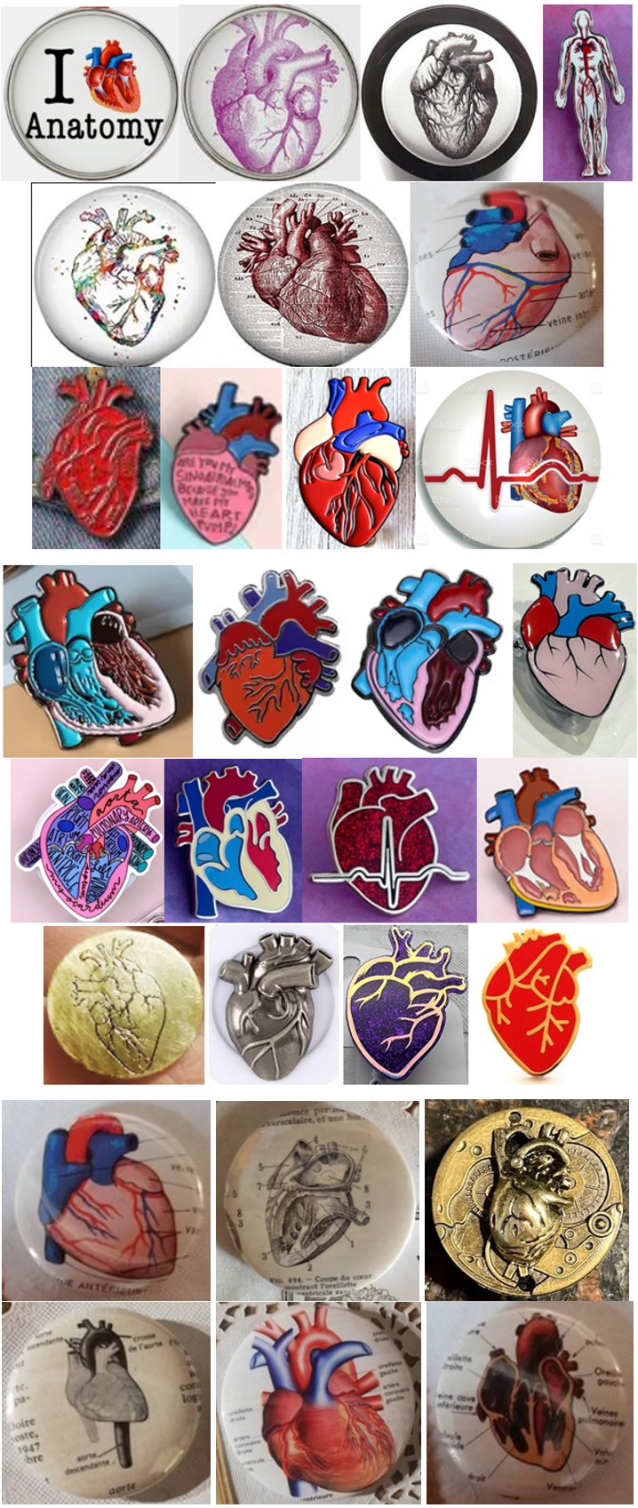 Figure 5: Human digestive system on badges.
