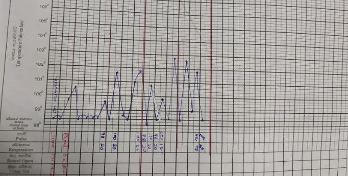 Figure 4: Temperature chart.