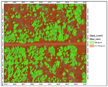 Figure 7: Extraction results of the canopy area.
