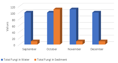 Figure 1: Monthly Values of Fungi in Water and Sediment in the Study Area.