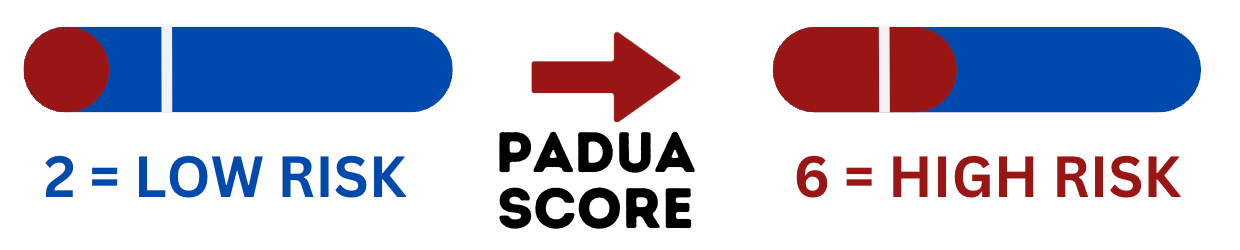 Figure 3: Patient’s Padua Score increased suggestive of a high risk for venous thromboembolism.