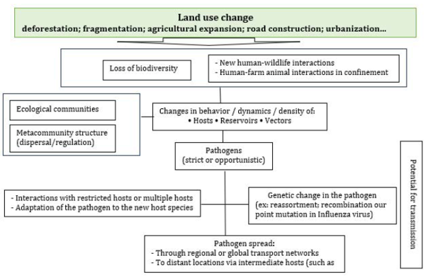 Figure 1: Change in land use, disturbances in ecosystems and influence on pathogens, hosts, reservoirs and vectors.