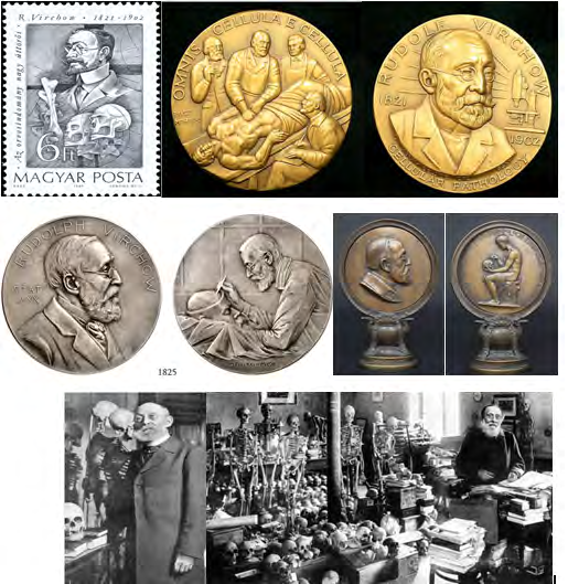 Figure 4: Marcellin Boule (1861-1942). De Montsalvy aux hommes fossiles. Figure 5 shows a small collection dedicated to the famous Czech paleoanthropologist Aleś Hrdlička (1869), who devoted many years to the study of the remains, including the skulls of ancient people [1-6,15-20].