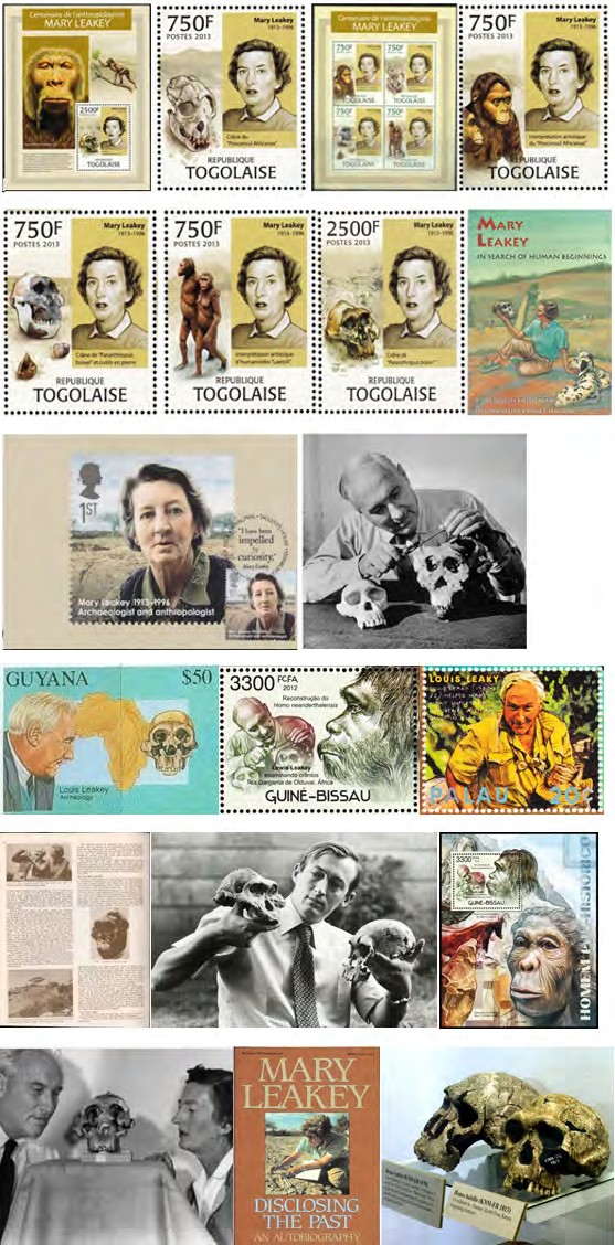 Figure 7: A collection dedicated to Raymond Dart.