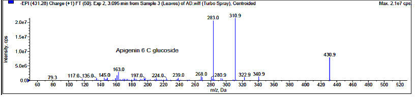 Figure 2: Blood glucose level after administrated with aqueous Pereskia bleo extracts and glucose in OGTT. Each value is mean ± SEM of six animals (n=6).