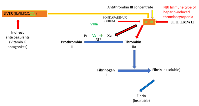Figure 2: Development of heparin-induced thrombocytopenia in response to the administration of heparins.