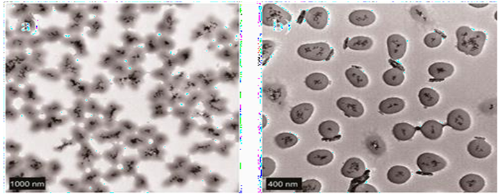 Figure 3: (a) 1000 nm scale TEM-image of Fe3O4 magnetic nanoparticles. In the 400 nm scale TEM-image (b) magnetite cores can be clearly observed as black spots.