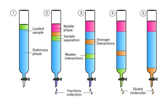 Figure 1: Schematic Diagram of Column Chromatography.