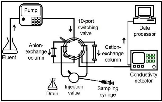 Figure 2: Schematic Diagram of Ion-Exchange Chromatography.