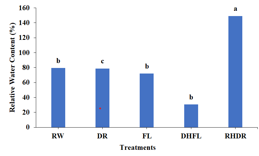 Figure 2: Relative Water Content (RWC) of the samples under various water stress conditions. The treatments include regular watering (RW), drought (DR), and resumption of regular watering after drought (RHDR), flooding (FL), and resumption of regular watering after flooding (DHFL). Different alphabetical letters on the bars denote significant differences according to Tukey’s honestly significant difference post-test analyses at a significant level of p < 0.05.