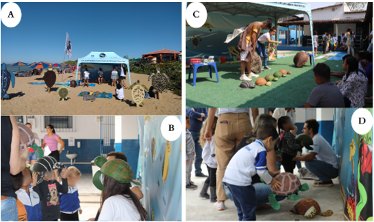Figure 4: Development of Models of Sea Turtles, Made of Styrofoam Material and Full-Size Wooden Models, As A Tool for Oceanic Education of The Iurukuá Project to Operate in Public Schools and Beaches Between August 2022 And March 2023.