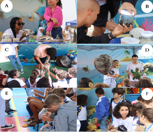 Figure 5: Use of Biological Materials from Sea Turtles as a Tool for Ocean Education of the Iurukuá Project in Public Schools in Macaé Between August 2022 and March 2023.