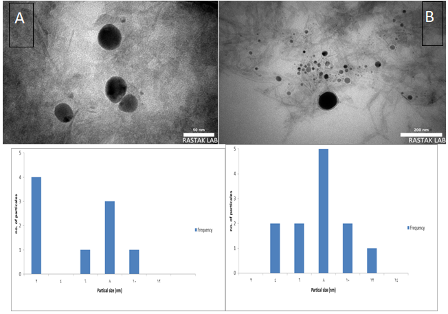 Figure 5: TEM image of (a) pure zinc oxide (b) Ag_ZnO.