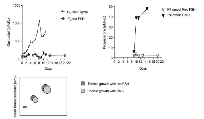 Figure 3: Effects of FSH alone and FSH and LH in combination on follicle development in a hypo gonadotrophic patient with Kallmann’s Syndrome. (Reproduced with kind permission from Dr Gillian Lockwood)