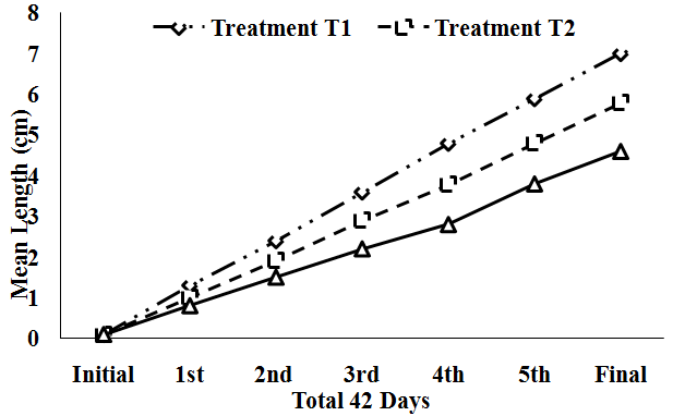 Figure 1: 7 day’s interval means length gain (cm) of fry _Bengala elonga_ under different density.