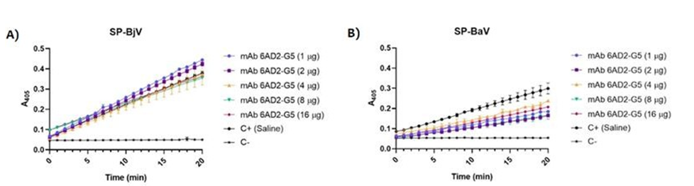 Figure 3: Catalytic activity of SP-BjV and SP-BaV and inhibitory action of mAb anti-SVSPs.