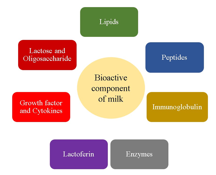 Figure 1: ** Schematic review of major bioactive components in milk.