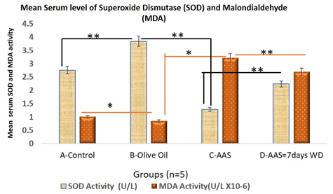 Figure 5: Graphical representation of the mean serum activity of malondialdehyde (MDA) and superoxide dismutase (SOD) which demonstrates changes in liver oxidative stress and lipid peroxidation in AAS treated experimental animals used in this study. The data obtained were analyzed using one way Analysis of Variance (ANOVA) and obtained expressed as the mean ± SD. Data (*) taken as significant statistically when p ≤ 0.05. Legend: A=Control, B=Olive Oil Control, B= 120mg/kg b.w.t/ daily AAS for 21days and D= the 7days withdrawal groups following 21 days of 120mg/kg AAS treatment.