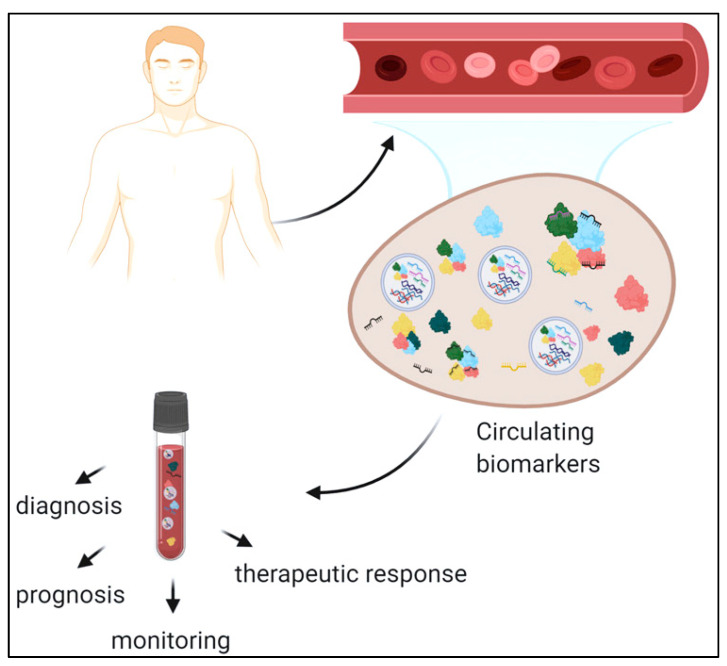 Figure 1: Biomarkers uses [2].