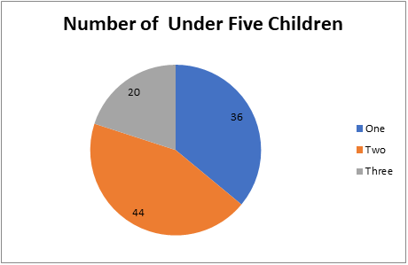 Figure 6: Pie diagram showing distribution of mother’s by their number of under five children.