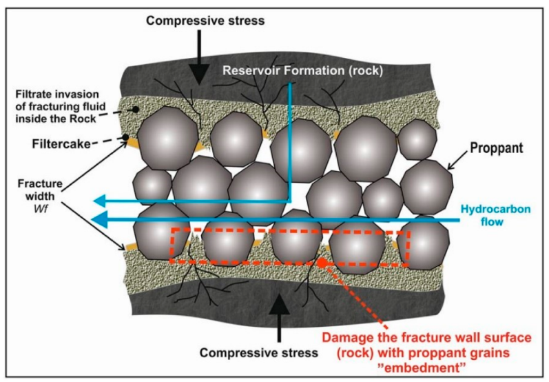 Figure 1: A typical view of the embedded proppant in the fracture [5].