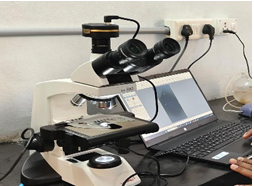 Figure 1: Microscope.