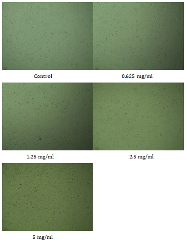 Figure 3: Microscopic image after quantitative assay on Vero cell line.