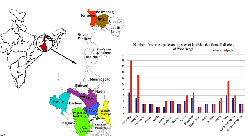 Figure 3: Major hotspot districts of tick diversity in West Bengal. (Information till 2001).