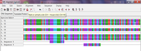 Figure 2: Alignment of MSTN gene fragments in mirror carp showed two mutations in exon 3 (c.42A>G, c.72C>T).