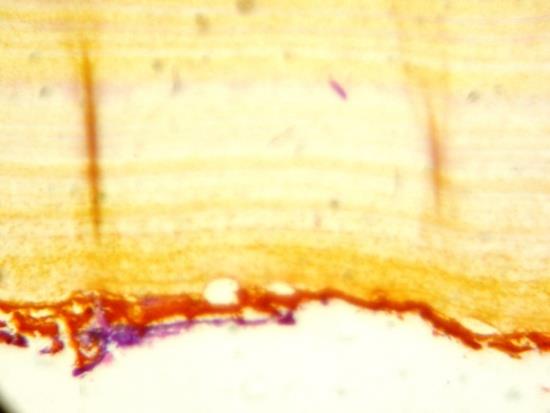 Figure 13