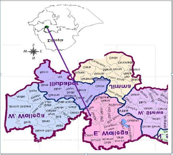 Figure 1: The Location map of the study area Eastern Wallagga was chosen as a case study for human security and development nexus due to four main reasons. Firstly, the region has experienced conflict and violence for the past three decades, starting from the 1990s. This period has been marked by internal political factionalism, armed revolt, and sustained civil unrest. As a result, human security has been compromised in various ways, depending on the specific circumstances of each individual. Therefore, Eastern Wallagga serves as a comprehensive and diverse example of the different factors, both at the local and national levels that impact human security and development relations in various situations. The second reason for selecting Eastern Wallagga as a case study for human security and development nexus is that despite agreements, sporadic civil conflicts and political instability have persisted for years. While the overall conditions for the people have improved, the promise of human rights, development, and political freedom has not been fully realized. This suggests that economic growth alone did not guarantee human security. Thirdly, the Ethiopian government has adopted internationally promoted norms of human rights, poverty reduction strategies, and human development in its policies since 1991. The Oromia Regional State has also embraced these principles in its development strategy, making it a unique case for analyzing the outcomes of human security and development policies and practices in all its zones, including Eastern Wallagga. Finally, resource-based conflict has complex dynamics and a significant impact on people’s livelihoods in the area. Therefore, it is essential to understand how actors on the ground articulate the relationship between human security and development.