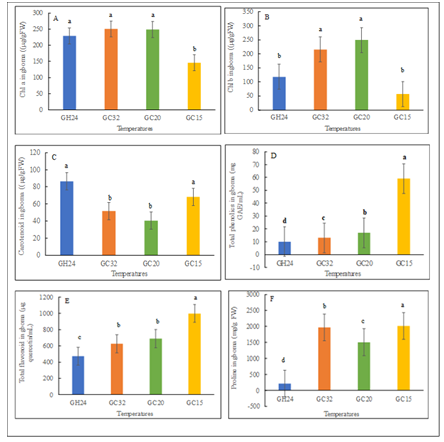 Figure 4: Phytochemical content of gboma (Solanum macrocarpon) were influenced with variation in temperature; different alphabetical letters mean significant difference between treatment means (N = 4) by Tukey’s honestly significant difference (HSD) test at p ≤ 0.05. Vertical bars represent error bars (N=4). GC32, GC20, and GC 15 represent day/night temperature regimes at 32°/27°C, 20°/15°C and 15°/10°C, respectively; and GH24 represents greenhouse environment (control) at an average temperature of 24°/21°C.