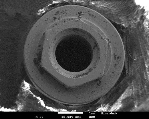 Figure 2: SEM of implant hexagon group A.