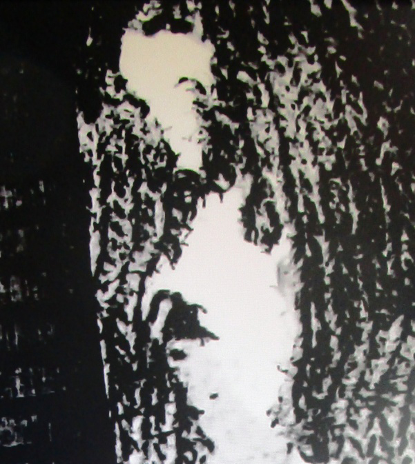 Figure 16