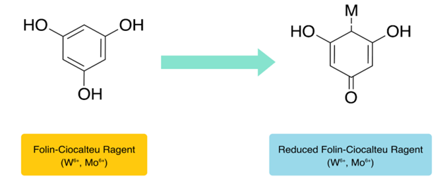 Figure 2: Principle of Folin–Ciocalteu method [40].