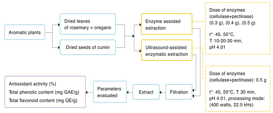 Figure 4: Schematic diagram of the research steps. Statistical Analysis