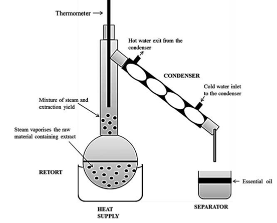 Figure 5: Hydro Distillation Assembly for Extraction of Lemongrass Oil.