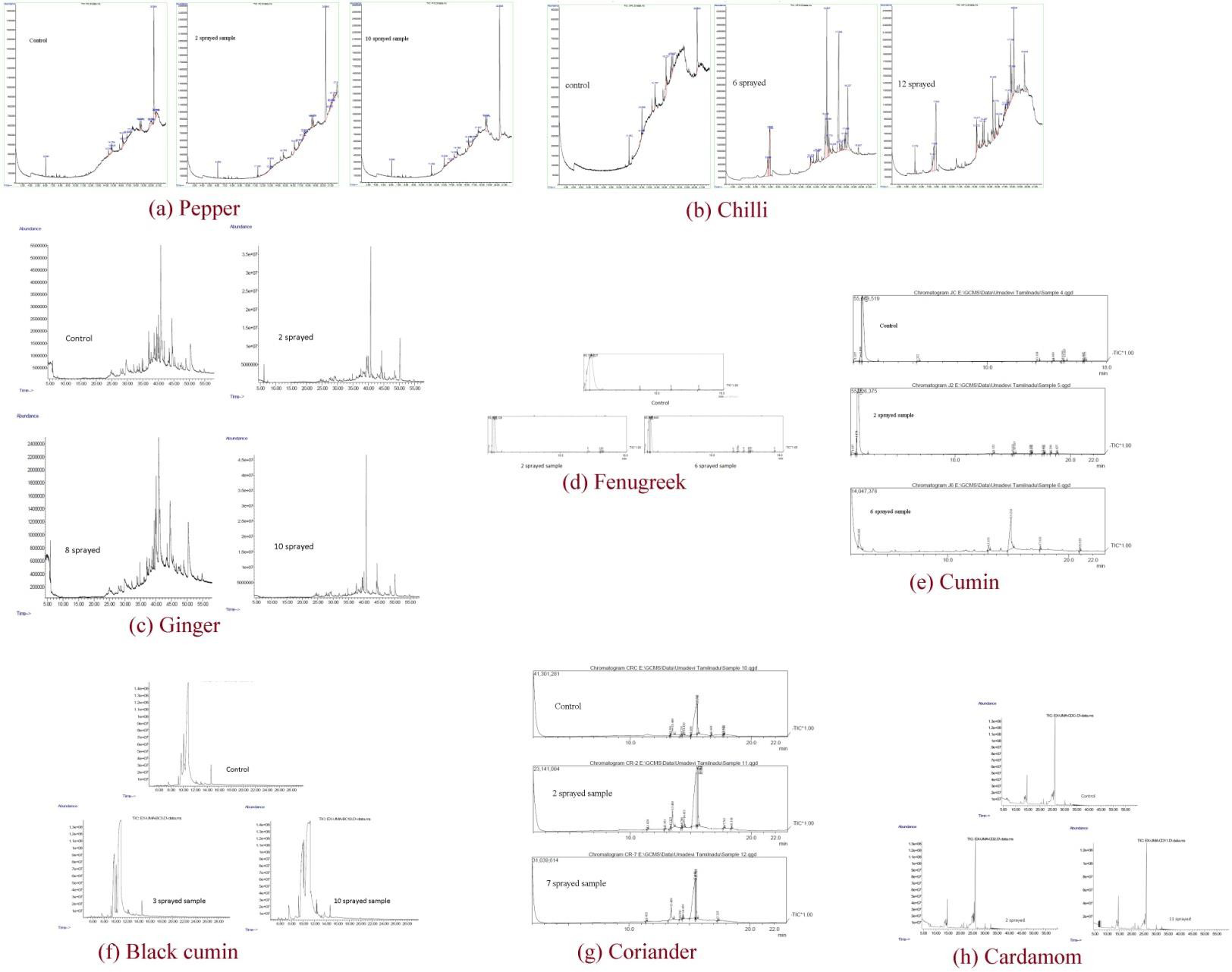 Figure 1: GC-MS chromatogram of spices.