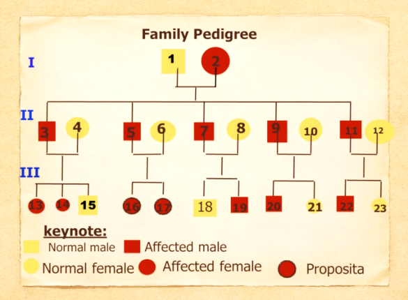 Figure 1: Family pedigree chart.