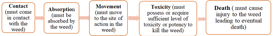 Figure 1: Mechanism of actions of herbicides on weeds.