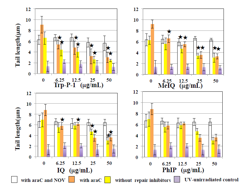 Figure 1: In WTK1 cells exposed to UV at 10 J/m2, Trp-P-1, IQ, and MeIQ decreased tail length statistical significantly in the presence and absence of araC. However, they did not affect tail length in the presence of NOV. PhIP did not affect tail length in the presence and absence of repair inhibitors. They did not induce tail length in UV- unirradiated cells. As shown in Figure 2, Trp-P-1, IQ, and MeIQ but not PhIP also decreased tail length statistical significantly in cells exposed to 40 µg/mL MMS but not 5 µg/mL BLM. On the contrary, harman increased tail length induced by UV and MMS but not BLM statistical significantly without araC but not with araC (Figures 3 & 4). Although norharman also increased tail length induced by UV, its enhancing effect was smaller than that of harman and enhancing effect was not observed against MMS. Harman and norharman did not induce tail length in UV-unirradiated cells. CPD induced by UV decreased statistical significantly at 2 h after UV exposure, in the absence of HCAs. The decrease in CPD was also detected in the presence of harman. In the presence of Trp-P-1 and IQ, however, CPD did not decrease statistical significantly at 2 h after UV exposure (Figure 5).