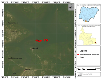 Figure 3: Nkoro Study Site Indicating Olom-Nkoro Sampled Site & Olom-Nkoro River Sampled Point.
