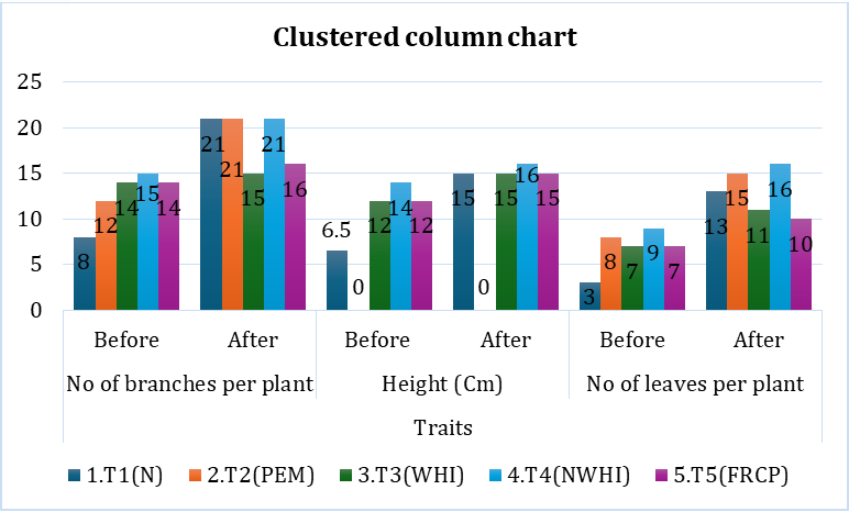 Figure 1: Clustered column chart representing difference between and after treatments for parameters number of branches per plant, height and number of leaves per plant.