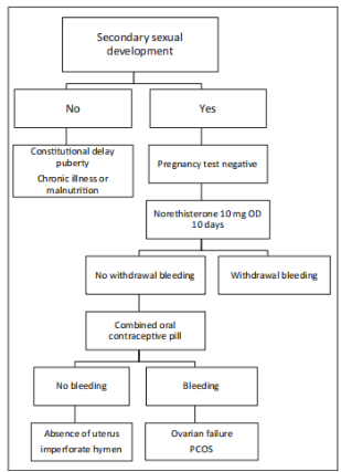 Figure 2: Diagnostic work-up of primary amenorrhea.