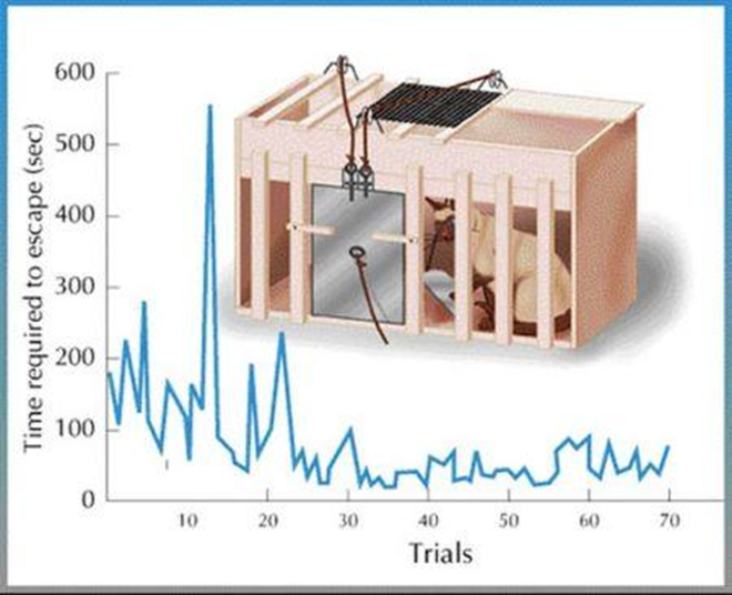 Figure 3: Visual representation of behavioural Throndike experiments with cats. The felines are able to learn quickly how to press the lever to scape the box and get access to external food. Time in pressing the lever is inversely proportionally reduced to the number of trials, establishing the principles of instrumental conditioning.